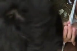 Videos de hombre negro cojiendo a gringa por la vajina