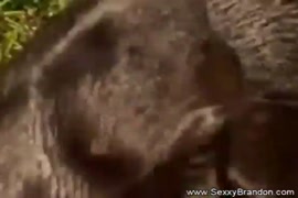 Videos porno un poni penetrando a una gorda